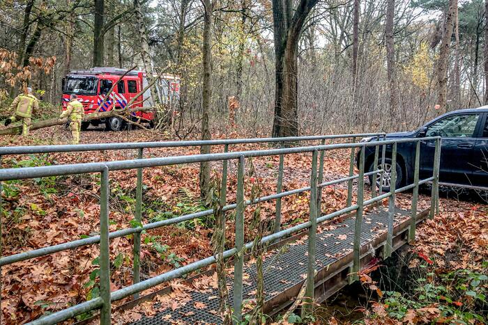 Paard glijdt uit op gladde loopbrug