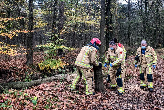 Paard glijdt uit op gladde loopbrug