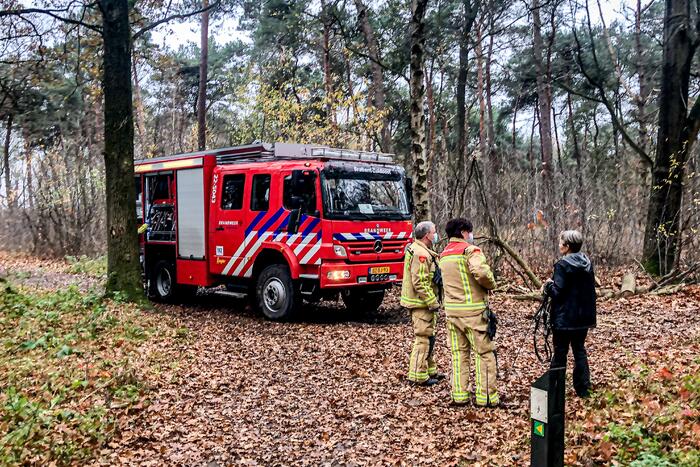 Paard glijdt uit op gladde loopbrug