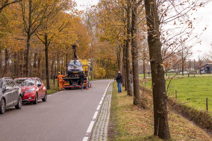 Auto vliegt uit de bocht en knalt tegen boom