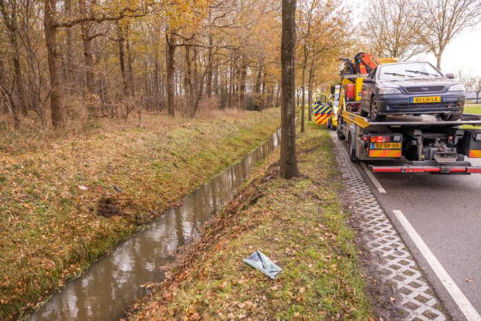 Auto vliegt uit de bocht en knalt tegen boom