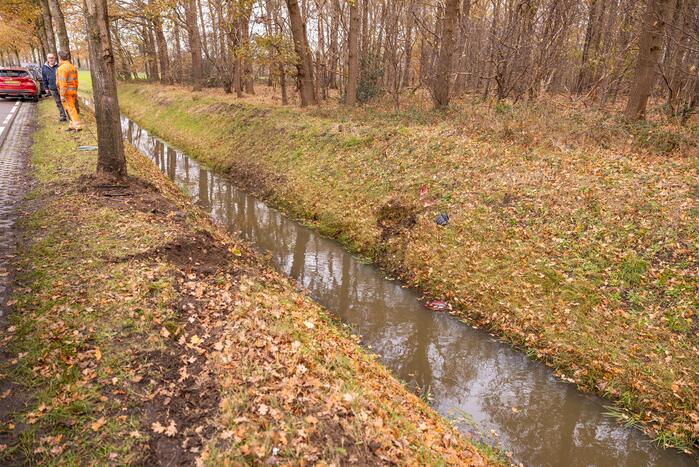 Auto vliegt uit de bocht en knalt tegen boom