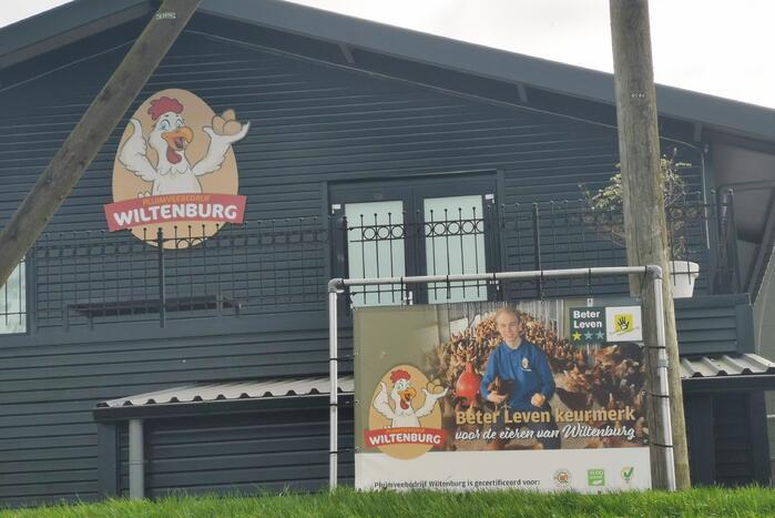 Wederom vogelgriep bij pluimveebedrijf