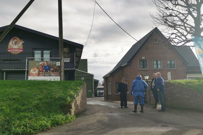 Wederom vogelgriep bij pluimveebedrijf