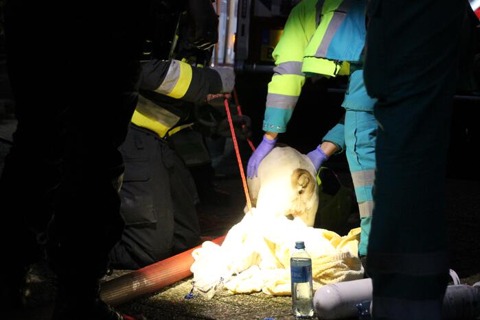 Gewonde bij uitslaande brand in flat