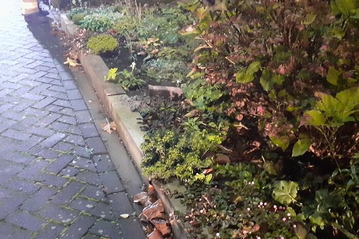 Brand in schoorsteen van woning