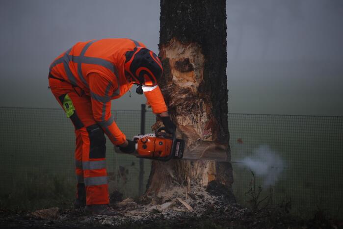 Vrachtwagen met aanhanger met hooi ramt boom
