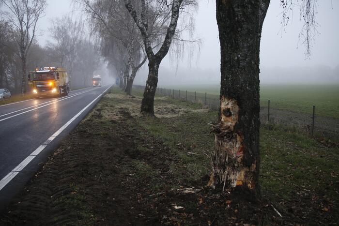Vrachtwagen met aanhanger met hooi ramt boom