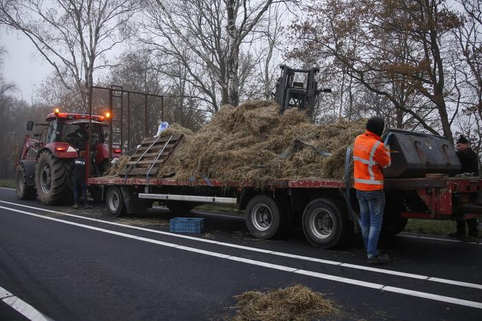 Vrachtwagen met aanhanger met hooi ramt boom