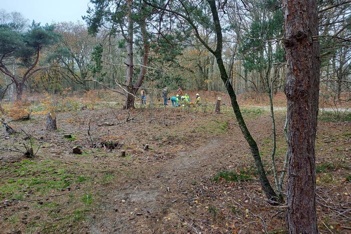 Persoon gewond na val van paard