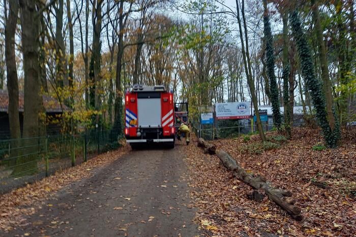 Persoon gewond na val van paard