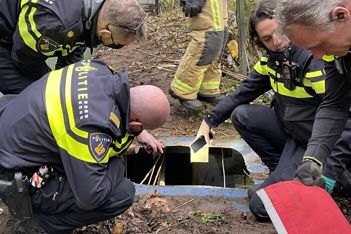 Politie vindt ondergrondse container met hennepkwekerij