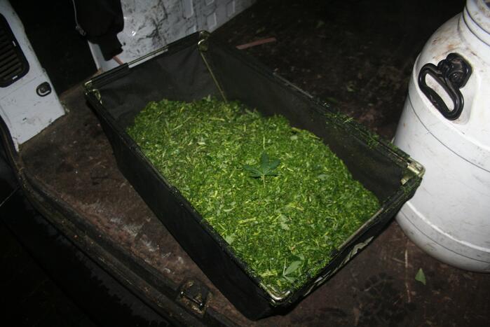 Hennepkwekerij aangetroffen in woning