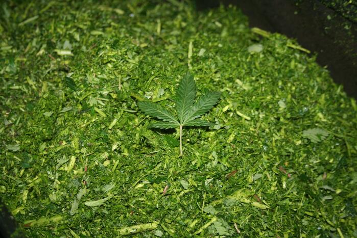 Hennepkwekerij aangetroffen in woning