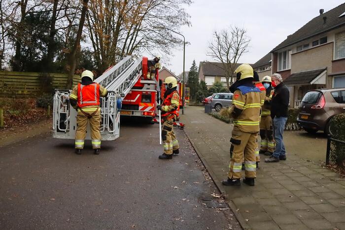 Brandweer ingezet voor kat in de boom