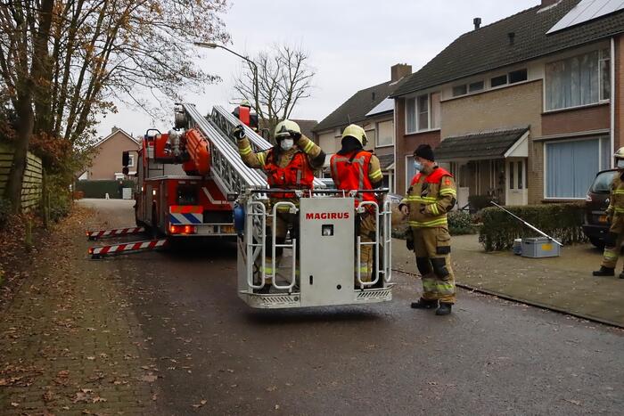 Brandweer ingezet voor kat in de boom
