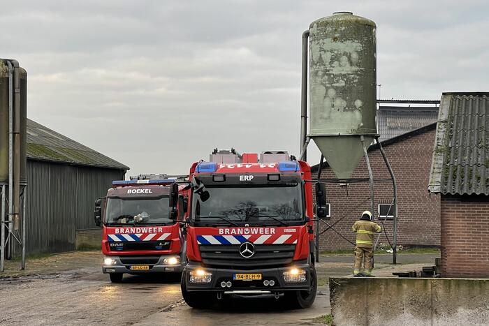 Drie pinken vallen in gierput