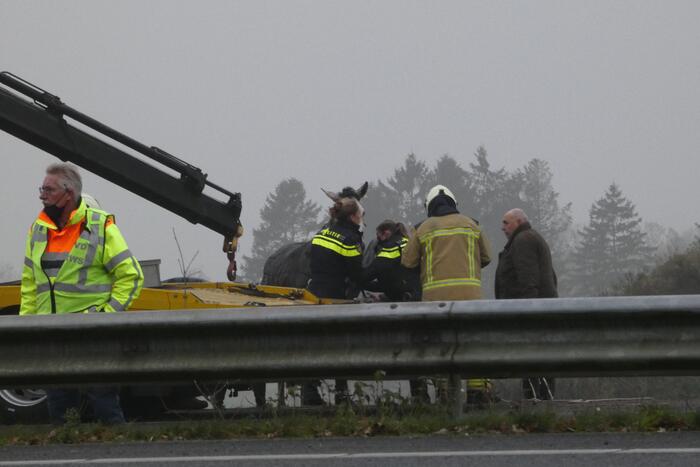 Paardentrailer belandt in sloot naast snelweg