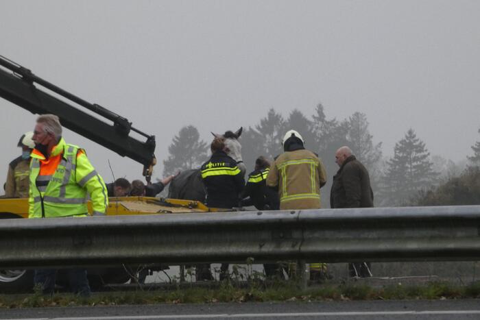 Paardentrailer belandt in sloot naast snelweg