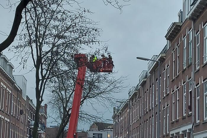 Persoon van dak gehaald