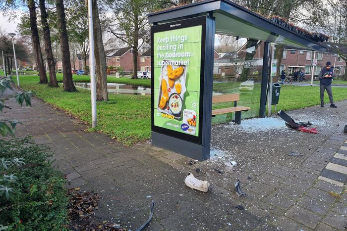 Auto en bushokje gesloopt
