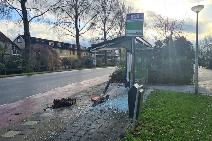 Auto en bushokje gesloopt