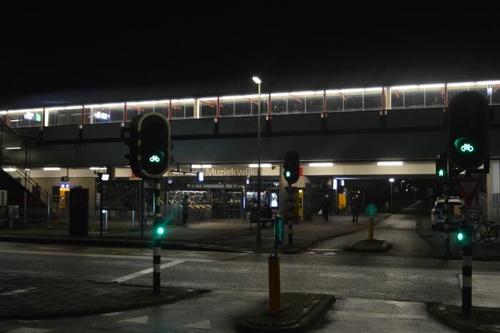 Treinverkeer ligt plat na aanrijding