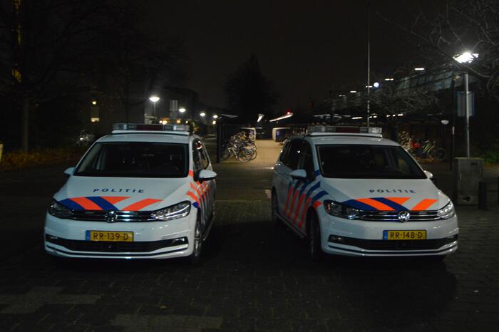 Treinverkeer ligt plat na aanrijding