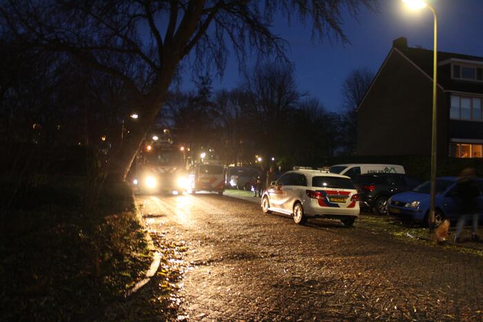 Veel bekijks bij brand in schoorsteen