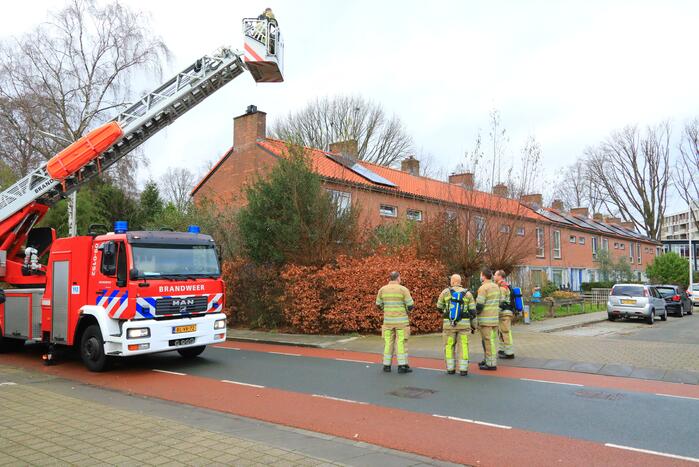 Veel bekijks bij schoorsteenbrand