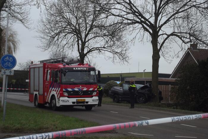 Pick-up truck eindigt tegen boom
