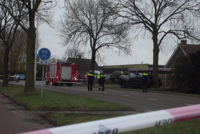 Pick-up truck eindigt tegen boom