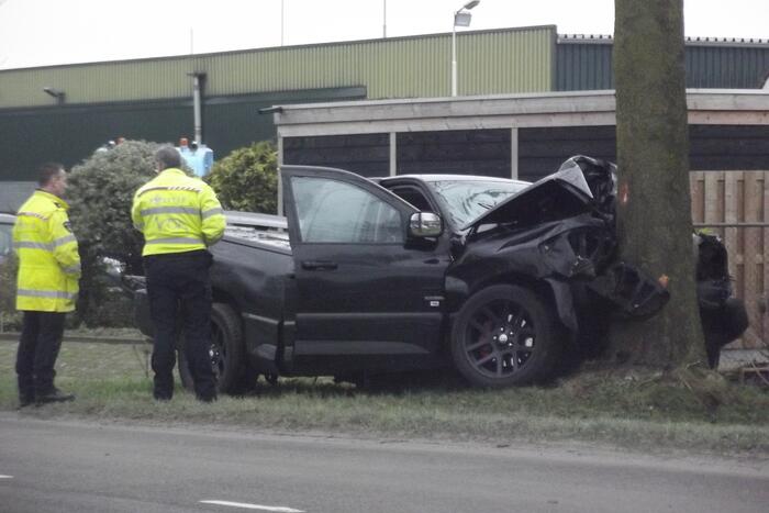 Pick-up truck eindigt tegen boom