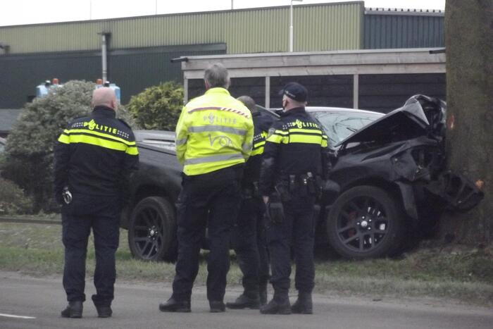 Pick-up truck eindigt tegen boom