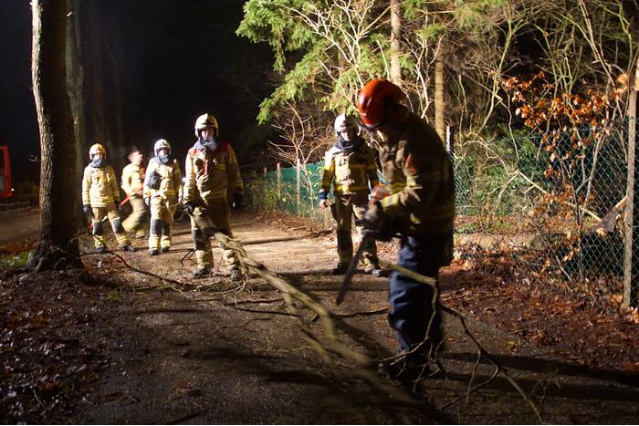 Stuk boom op fietspad gevallen