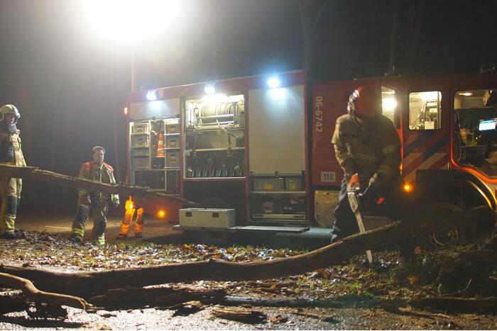 Stuk boom op fietspad gevallen