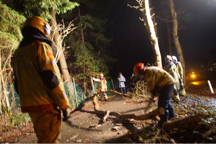 Stuk boom op fietspad gevallen