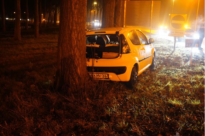 Auto achterstevoren tegen boom