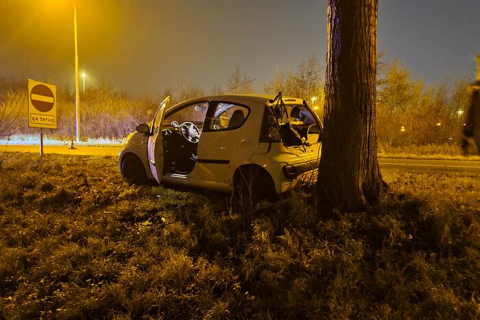 Auto achterstevoren tegen boom