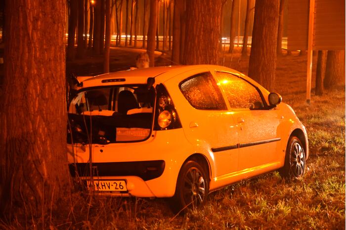 Auto achterstevoren tegen boom