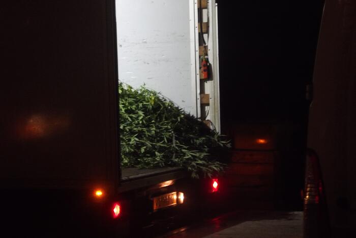 Mogelijke hennepkwekerij aangetroffen in bedrijfspand