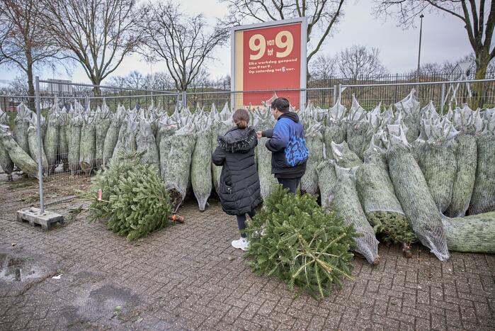 Op de valreep een kerstboom scoren