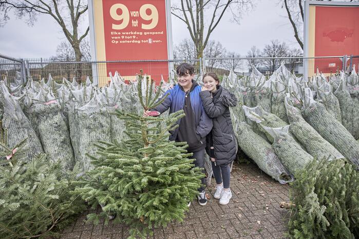 Op de valreep een kerstboom scoren