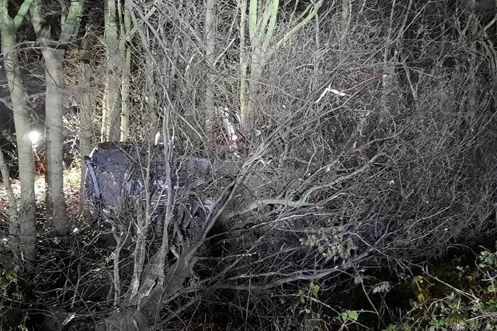 Auto uit de bocht gevlogen en in bosjes geëindigd