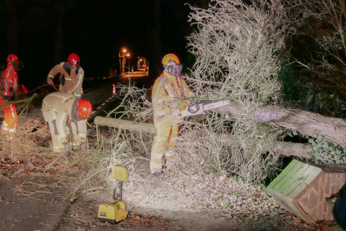Omgewaaide boom blokkeert doorgaande weg