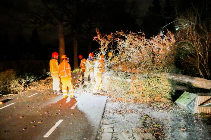 Omgewaaide boom blokkeert doorgaande weg