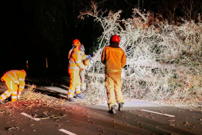 Omgewaaide boom blokkeert doorgaande weg