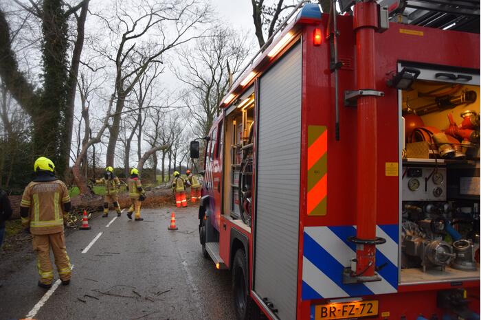 Boom neemt andere bomen mee in val