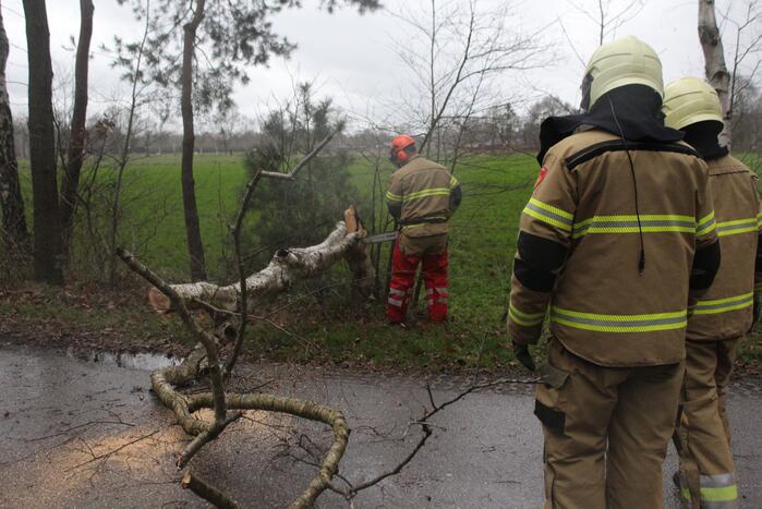 Boom omgewaaid door storm