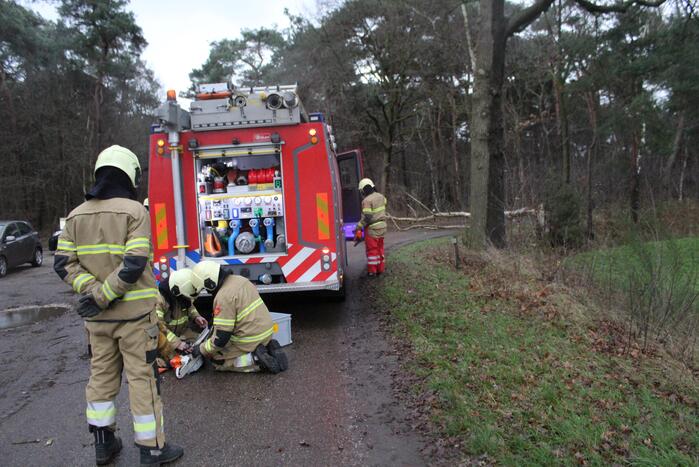 Boom omgewaaid door storm